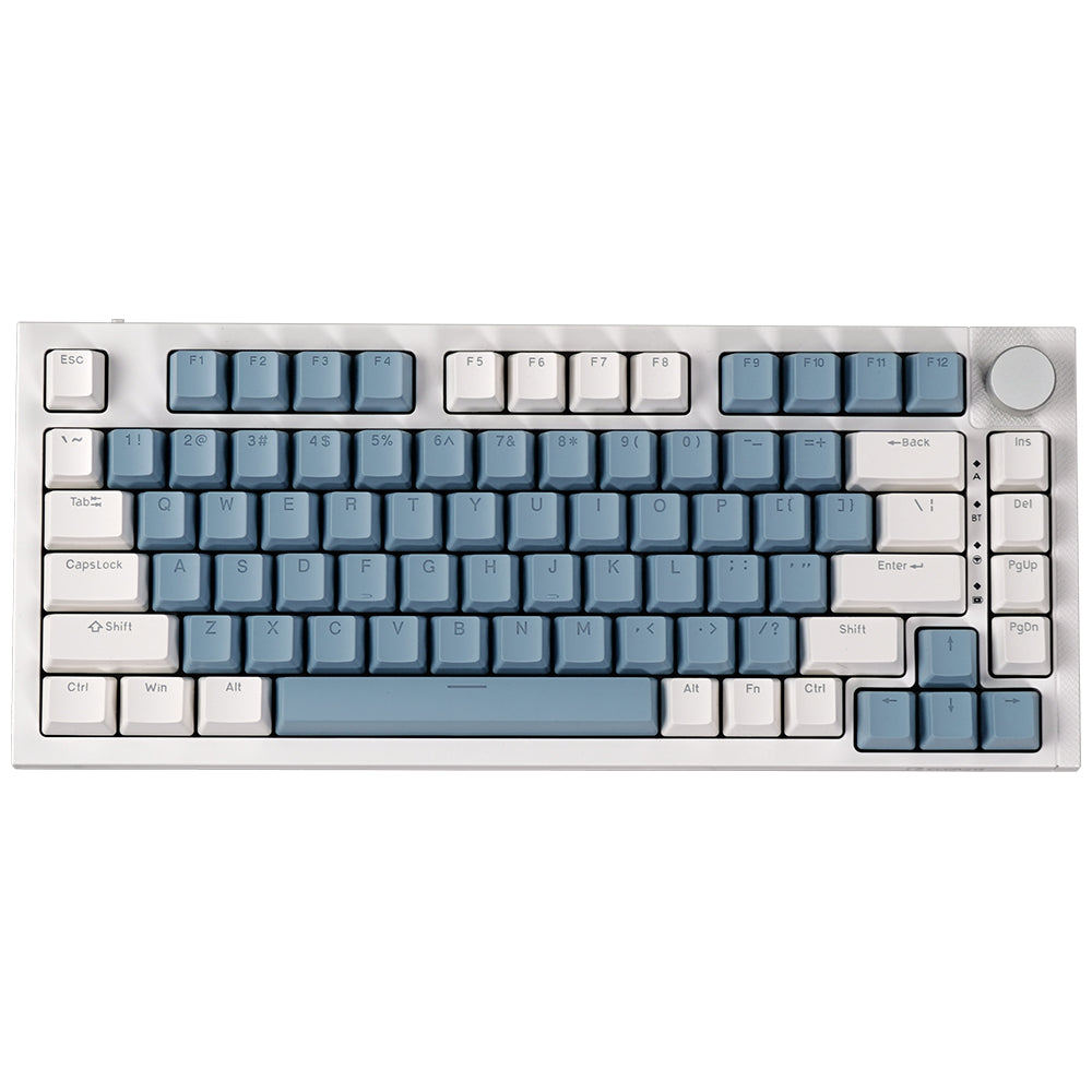 RECCAZR KW75S Gasket Gaming Keyboard Bluetooth Hot-swappable Mechanical Keyboard RGB(White Blue)
