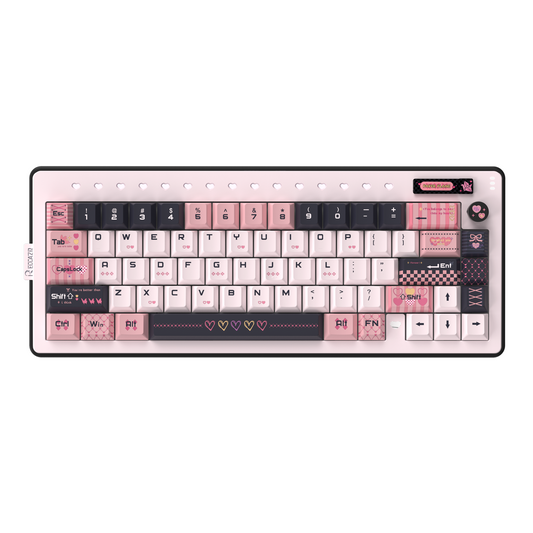RECCAZR Paper Plane 66 Gasket Aluminum Custom Mechanical Keyboard Sound Control Tri-mode Wireless gaming keyboard