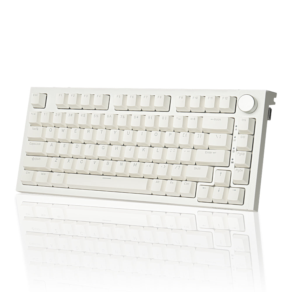 RECCAZR KW75S Gasket Gaming Keyboard Bluetooth Hot-swappable Mechanical Keyboard RGB(White)