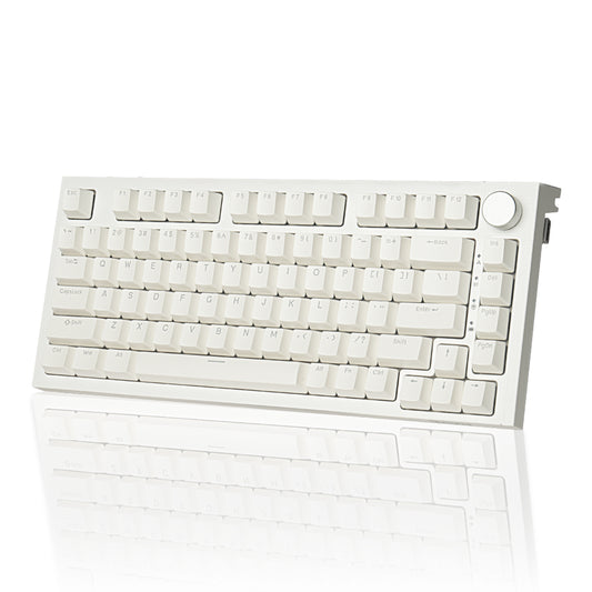 RECCAZR KW75S Gasket Gaming Keyboard Bluetooth Hot-swappable Mechanical Keyboard RGB(White)