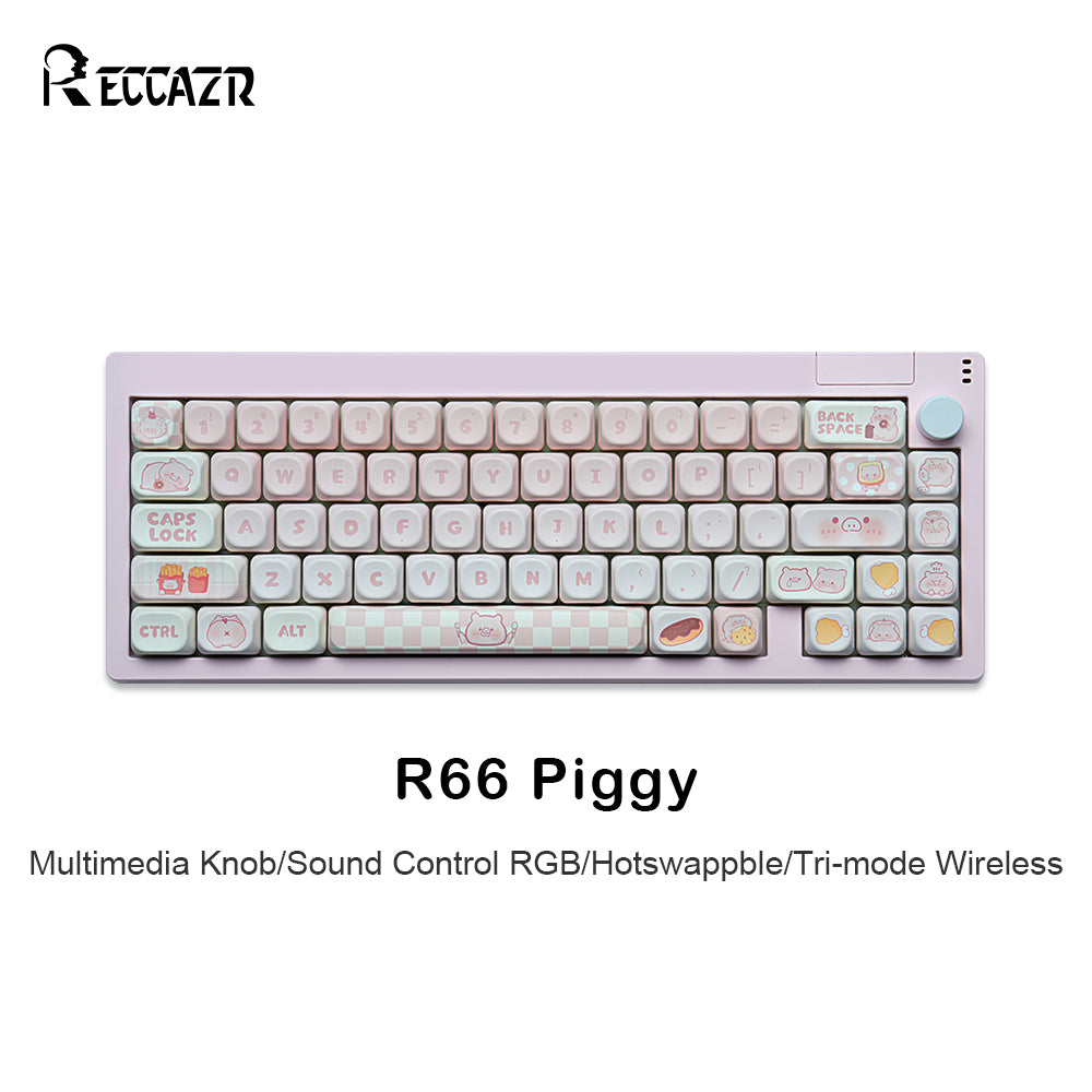 RECCAZR R66 RGB Sound Control Wireless Mechanical Keyboard, Hotswap custom keyboard Tri-mode wireless gaming keyboard