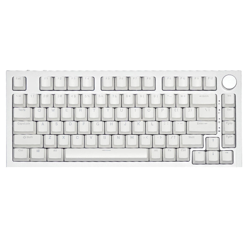 RECCAZR KW75S Gasket Gaming Keyboard Bluetooth Hot-swappable Mechanical Keyboard RGB(White)