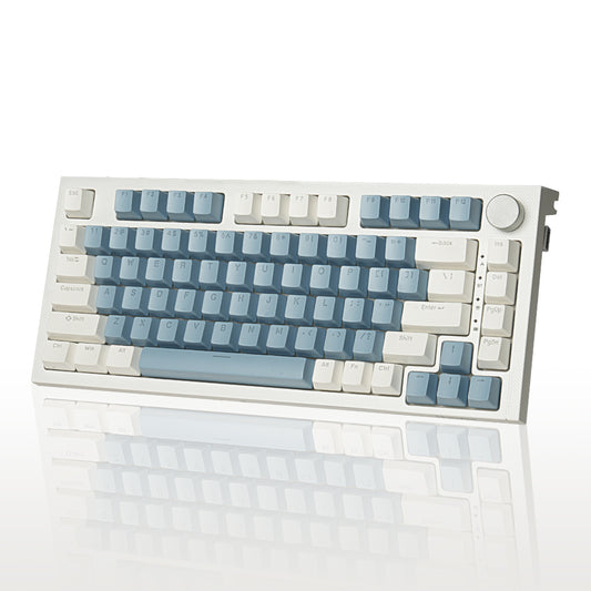 RECCAZR KW75S Gasket Gaming Keyboard Bluetooth Hot-swappable Mechanical Keyboard RGB(White Blue)