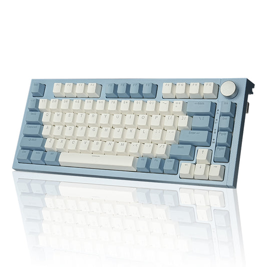 RECCAZR KW75S Gasket Gaming Keyboard Bluetooth Hot-swappable Mechanical Keyboard RGB(Blue White)